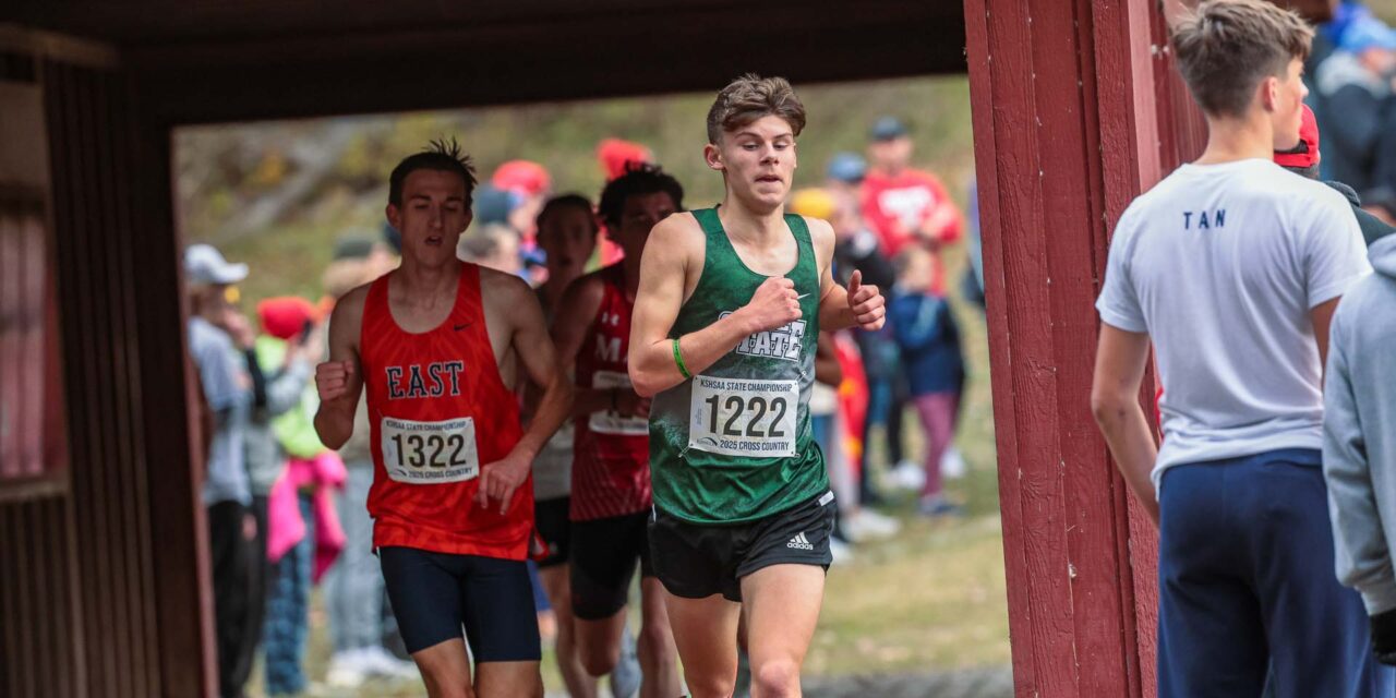 Johnson leads senior-heavy Free State boys to 5th-place finish at state XC meet; Hulcher paces Firebird girls in strong 6th-place showing